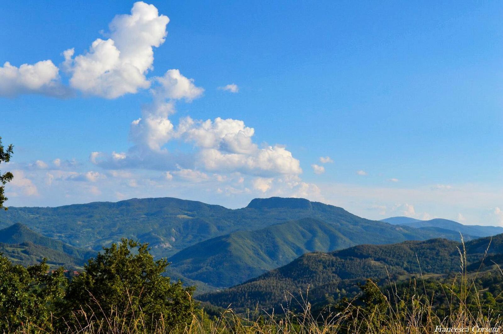 Agriturismo Vezzano Кьюзи-делла-Верна Экстерьер фото