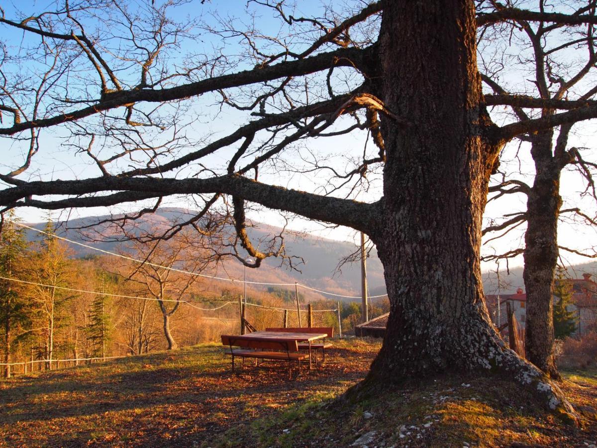 Agriturismo Vezzano Кьюзи-делла-Верна Экстерьер фото