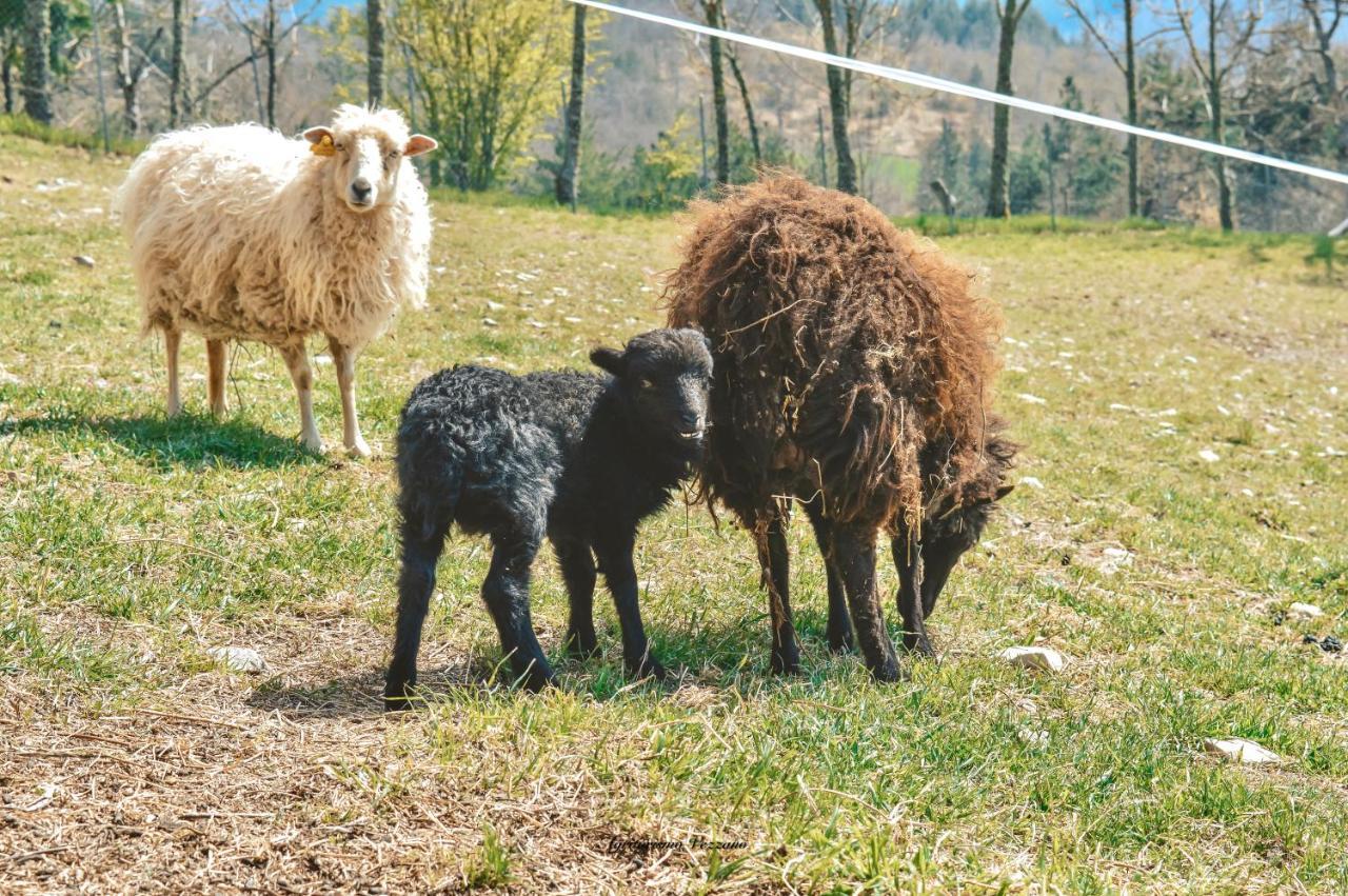 Agriturismo Vezzano Кьюзи-делла-Верна Экстерьер фото