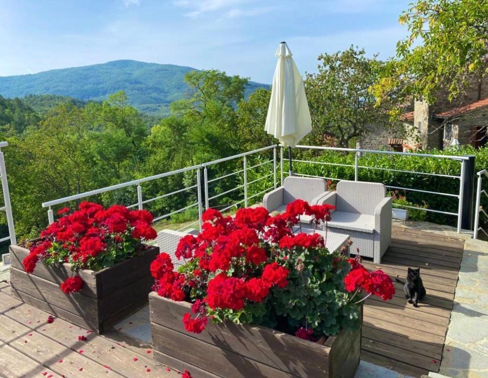 Agriturismo Vezzano Кьюзи-делла-Верна Экстерьер фото
